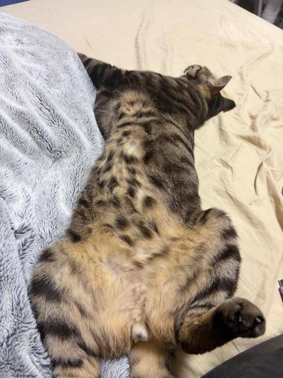 起こし屋さん日記?^?ω?^?(今更)