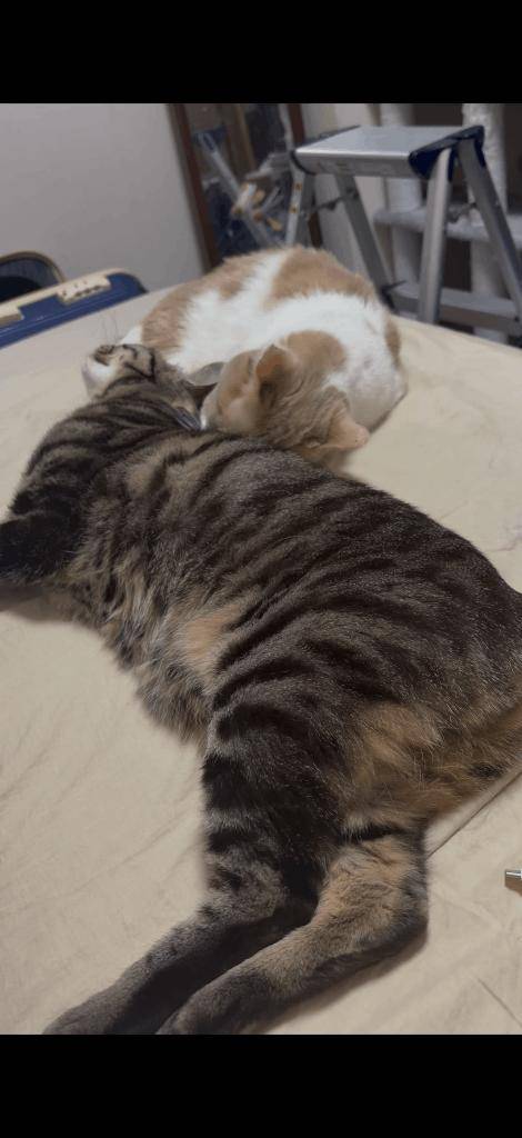 【本日の起こし屋さん】