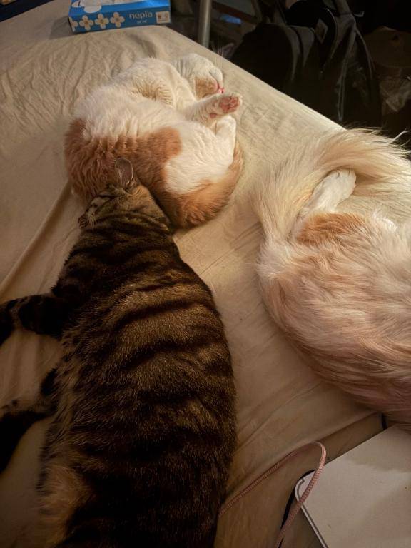 【本日の起こし屋さん】