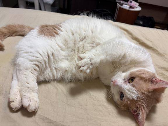 【本日の起こし屋さん】