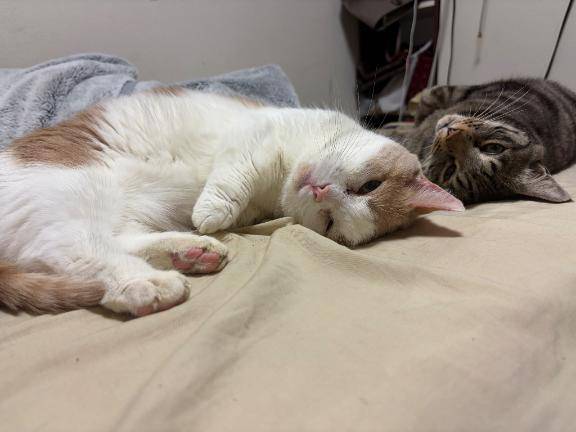 起こし屋さん日記