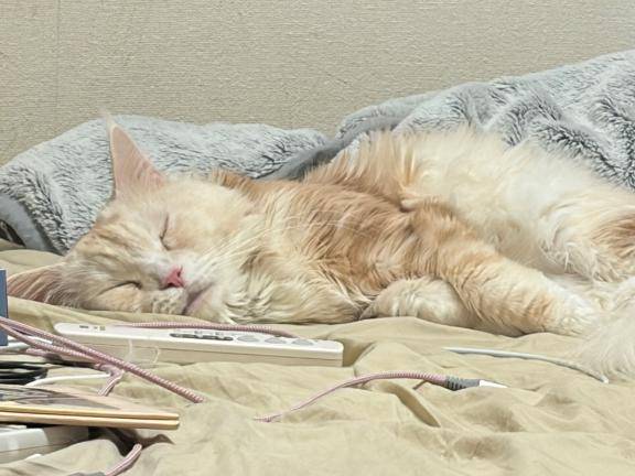 起こし屋、まさかの廃業