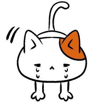 みつき（なでし娘）
