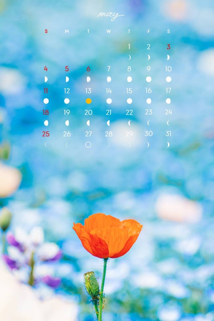 ５月🕊𓈒𓏸︎︎︎︎