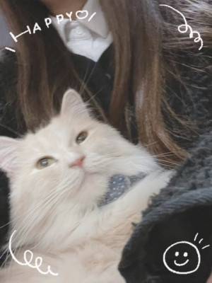 今週の出勤予定♪