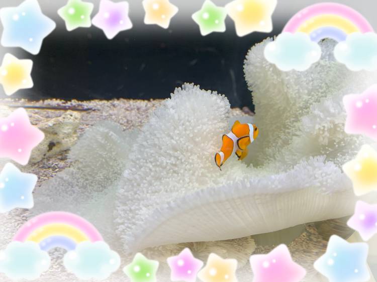 今月も🙏🏻🌱