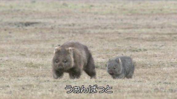 なんか…はまる……？