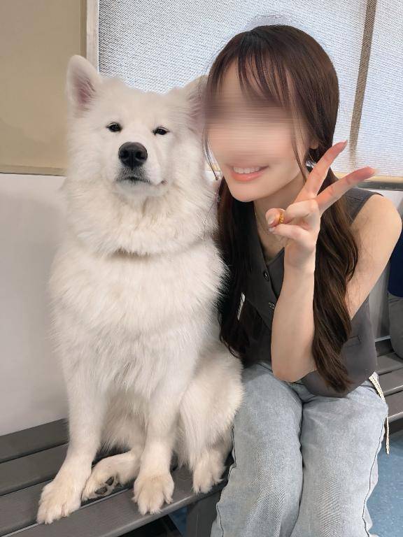 いつかきっとの話