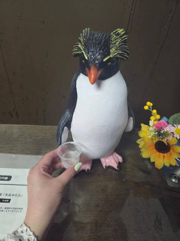 🦋ペンペン🐧🍶