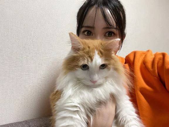 💗シフト公開💗