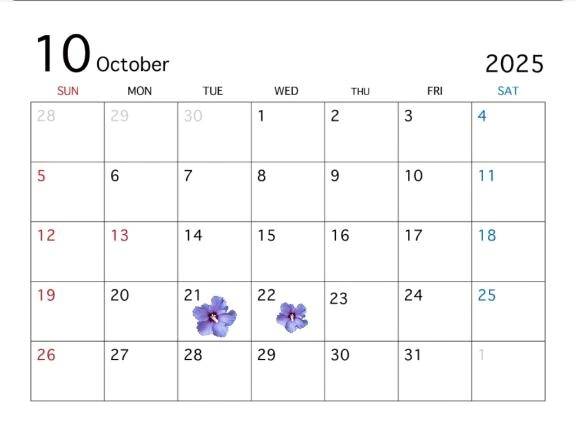 🌸🗓️１０月出勤のお知らせです🗓️🌸