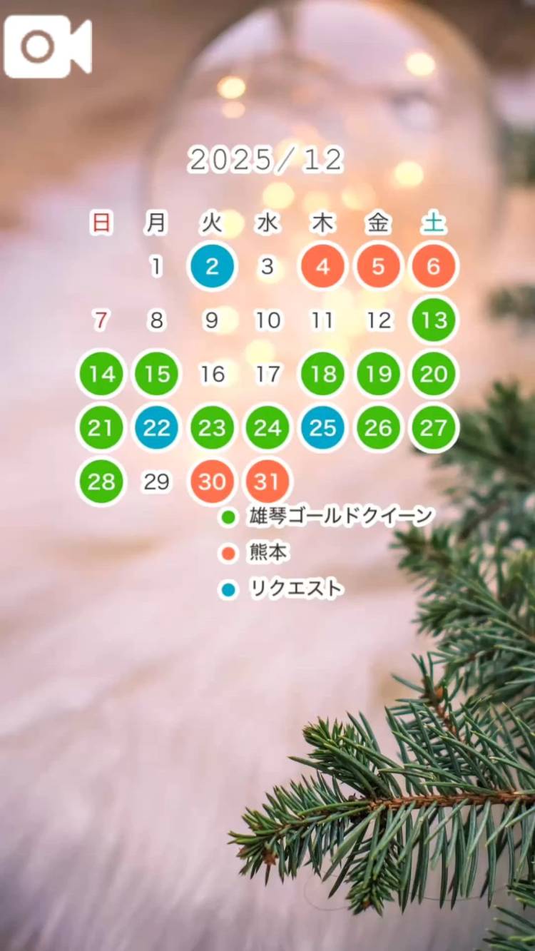 📍【12月の出勤予定】⛄️❄️