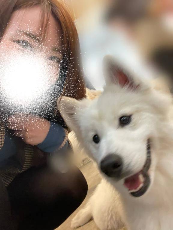 白雪りん（ゴールドクィーン）