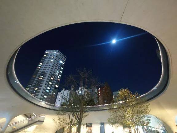 今年最後だそうです！