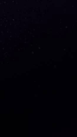 会いたかったな😢