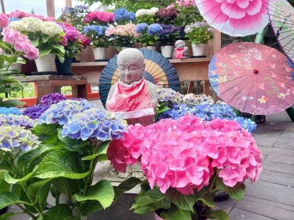 ありがとうございます