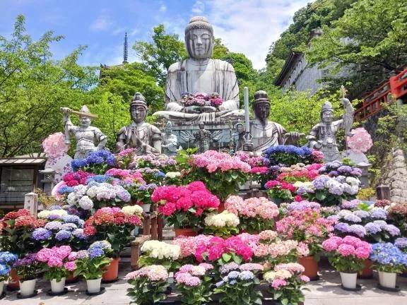 7月になったら