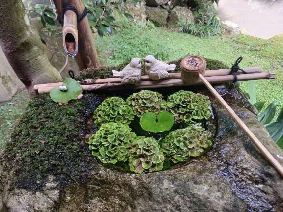 ありがとう