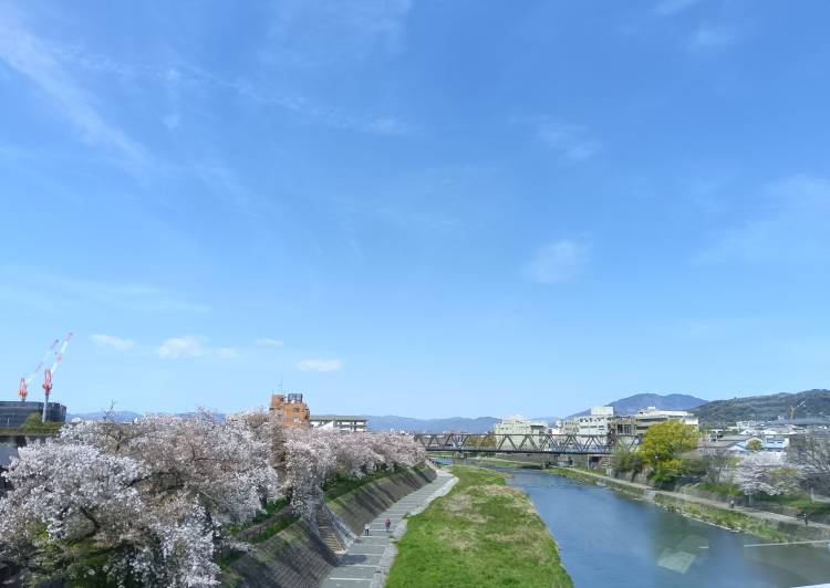 ☆鴨川沿いで…☆