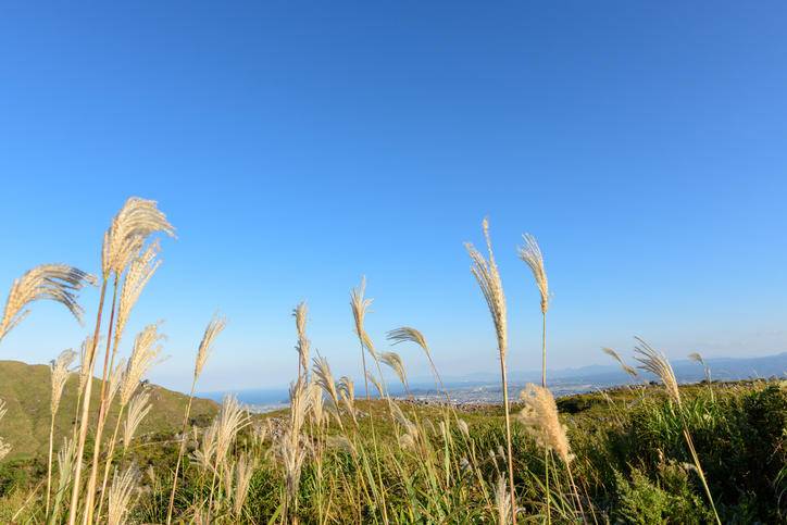 おはようございます☀️