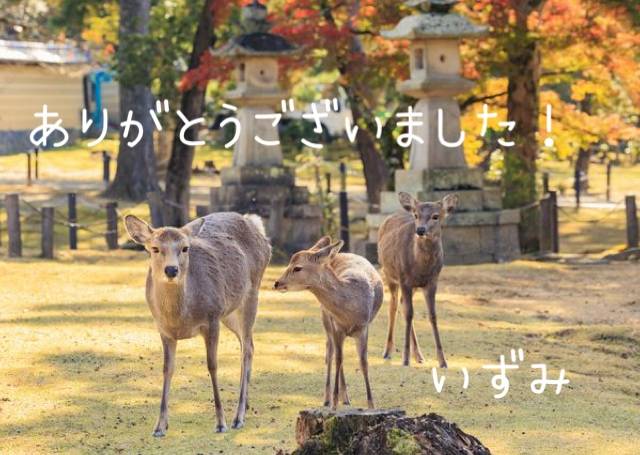 昨日のお礼です☀️