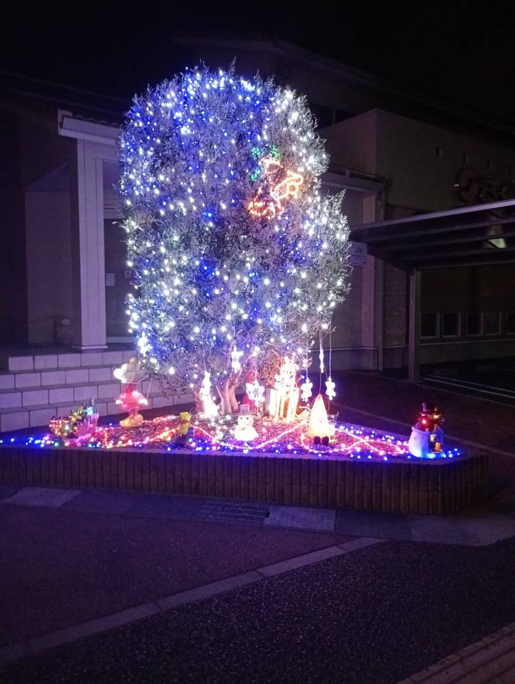 おはようございます🪄︎︎⛄️🎄