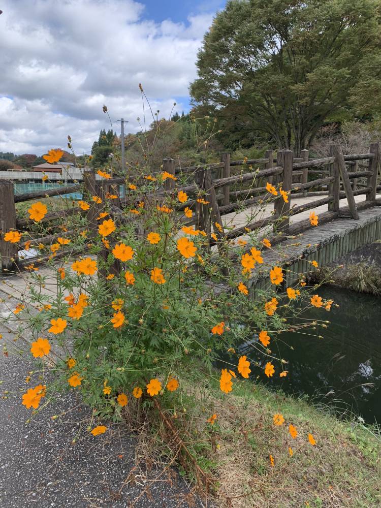 明日出勤します♡