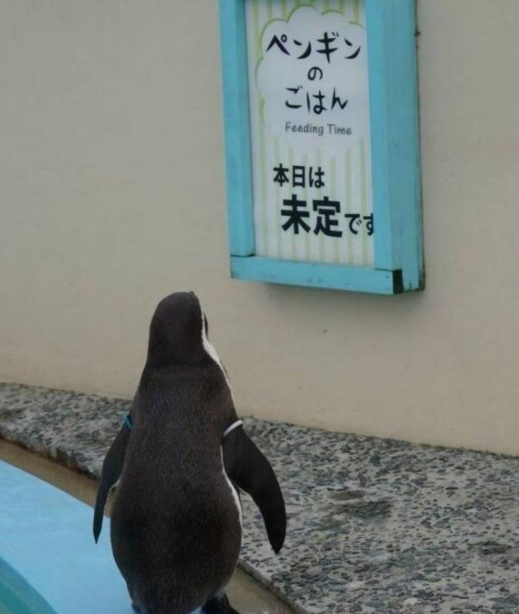 今日もありがとうなきもち