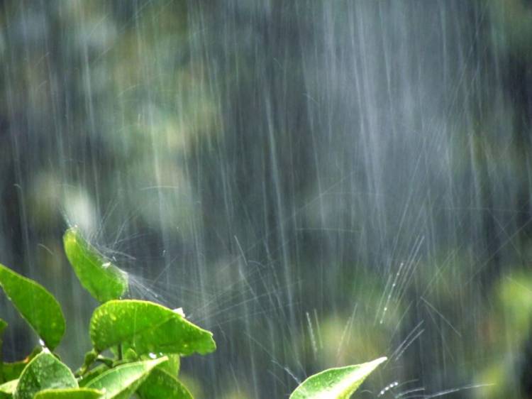 おはようございます☔️