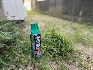 草むしり