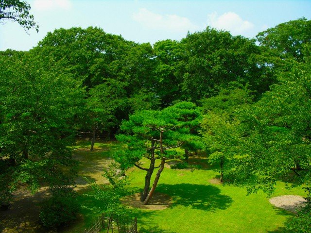osaka-un
