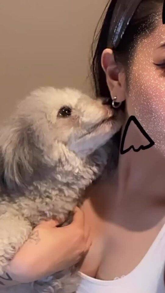 🐶退勤しました🐾