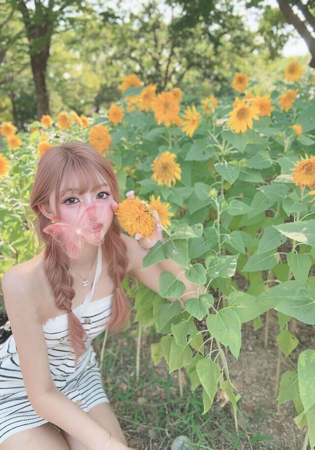 ひまわりももう終わり…
