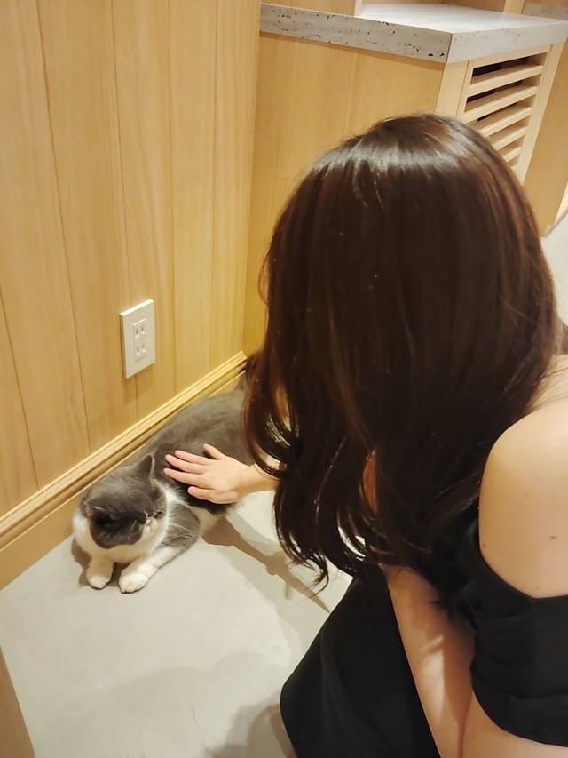 らなの得意技🐱