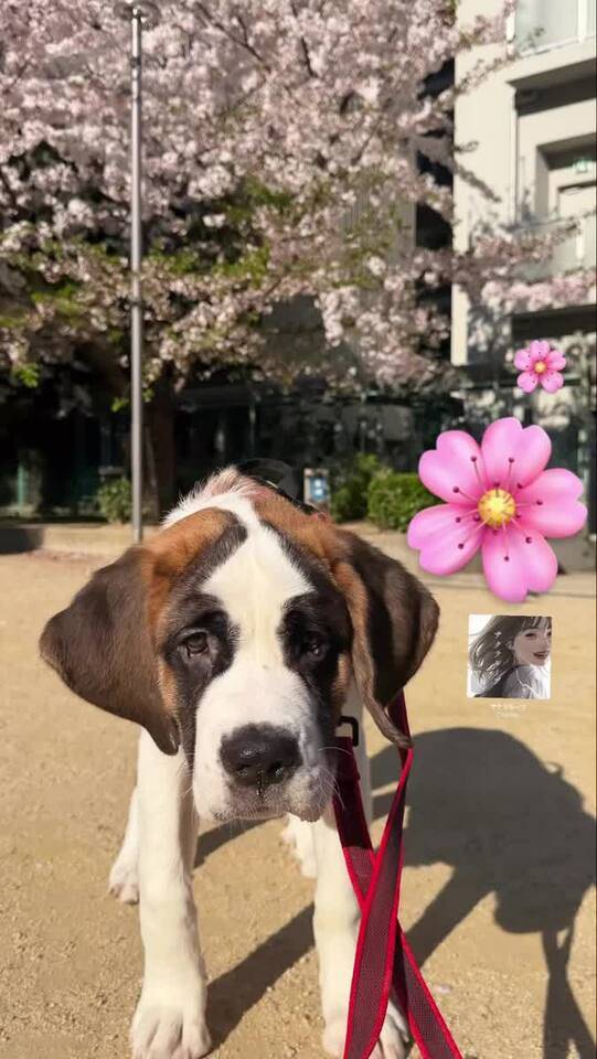 🖤⌚️時間変更⌚️🖤