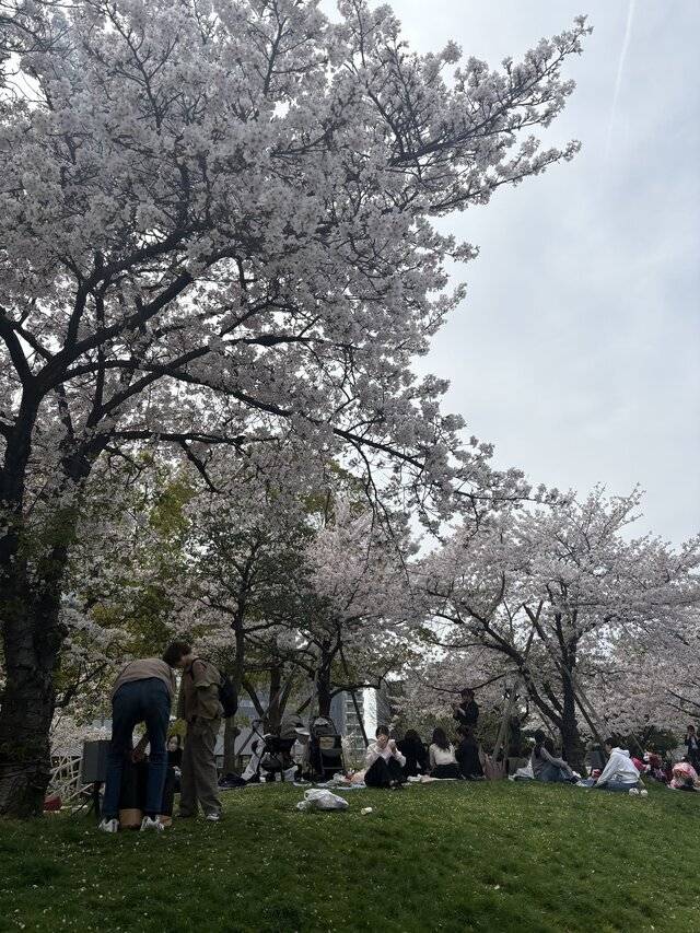 皆さんいつも感謝です🌸♡