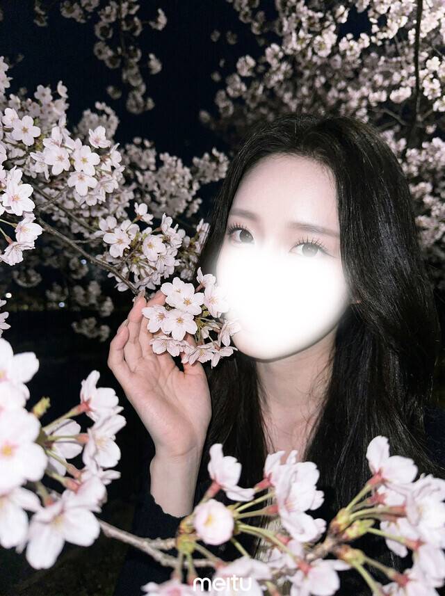 紳士様しかいない件について🌸🩷