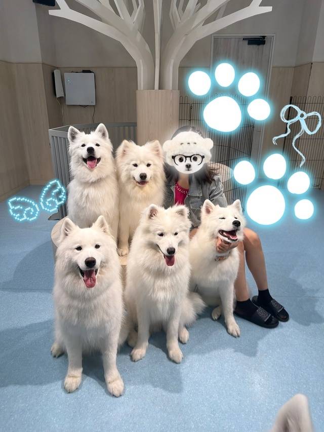 🪽🩵推し活日和🩵🪽