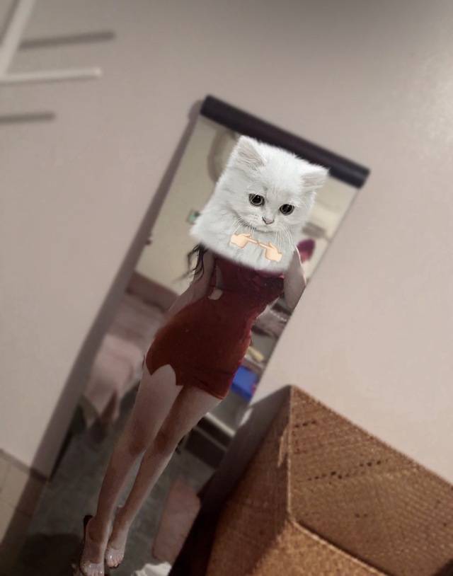 「盛れてる？」って確認したくて何回も撮った日🤫