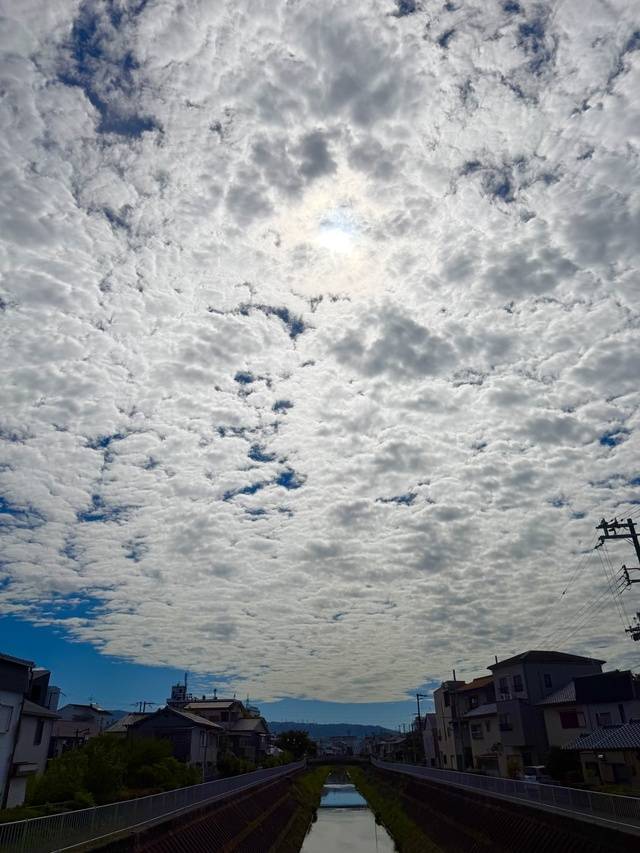 私の見ている世界線😶‍🌫️☁️