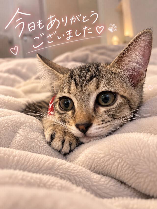 今日もありがとう🤍🤍