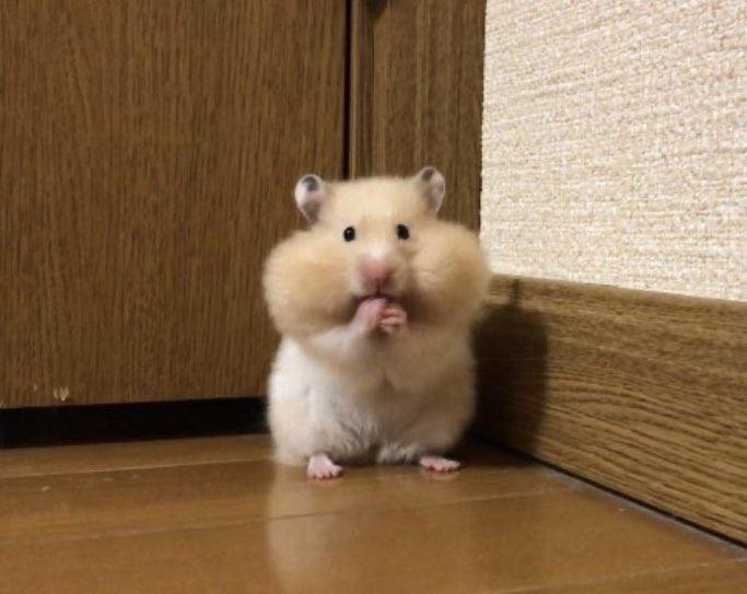 4日目!