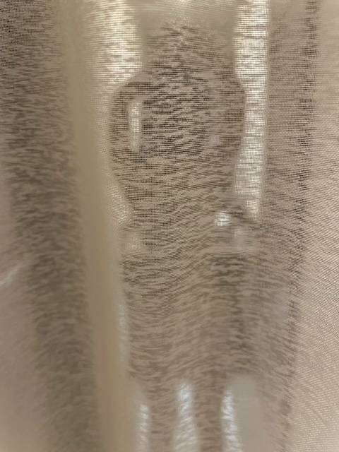 何かが始まる予感…