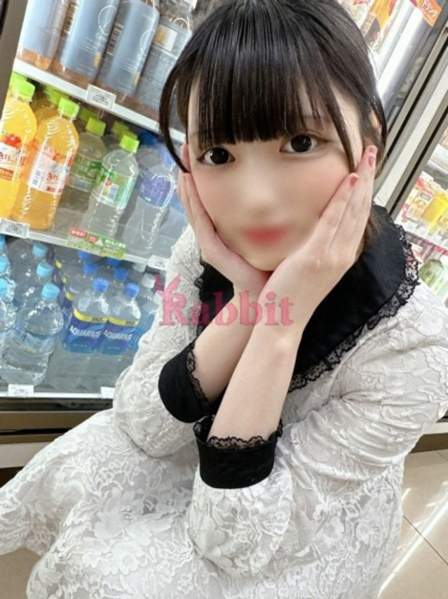 チノ(姫路ラビット)