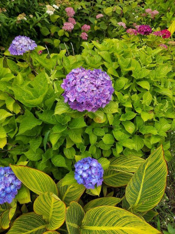 ありがとう(^-^)