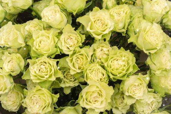 ありがとう(*^_^*)