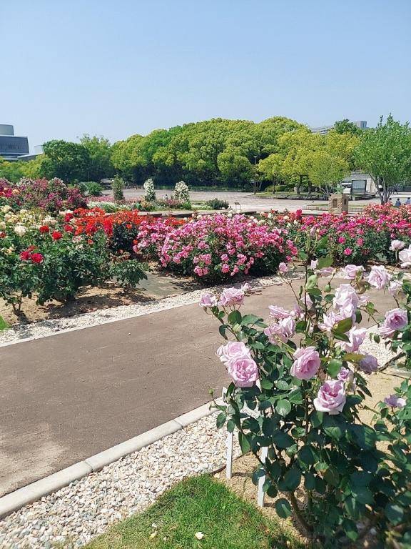 ありがとう(*^^*)