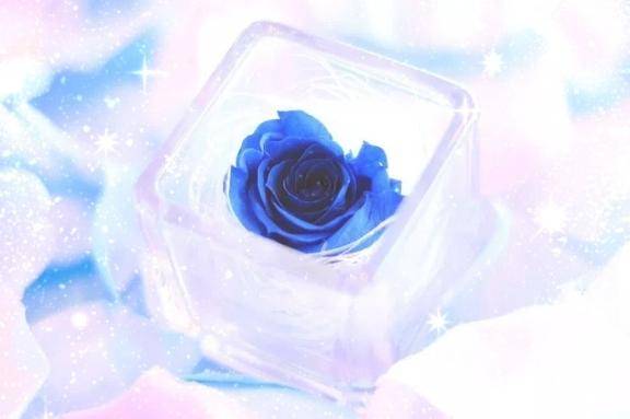 ありがとう(*^_^*)