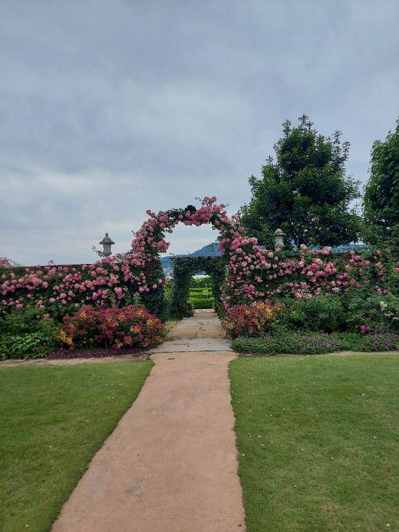 ありがとう(*´∀｀)ﾉ