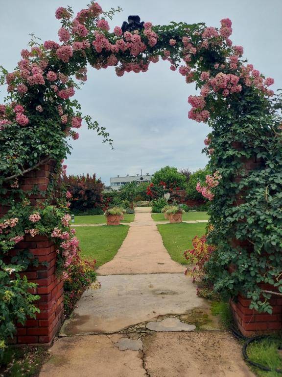 ありがとう(´▽｀*)